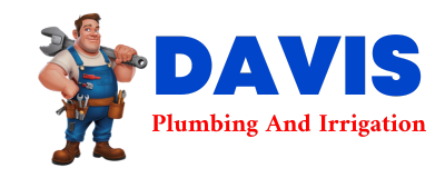 Trusted plumber in KINGS BAY